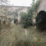 Da qui si accede al piccolo atrio, in cui la vegetazione spontanea ha rapito ogni centimetro